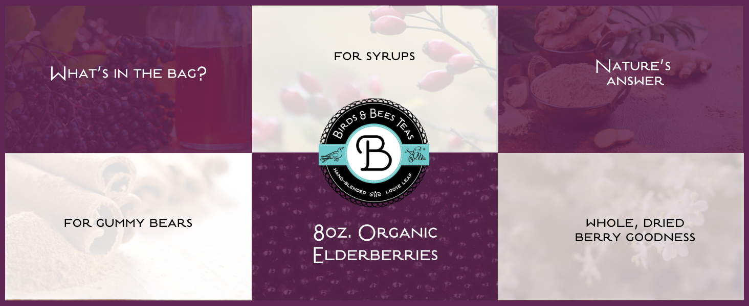 elderberry, organic elderberries, elderberry tea, elderberry syrup, gummy bears, diy syrup