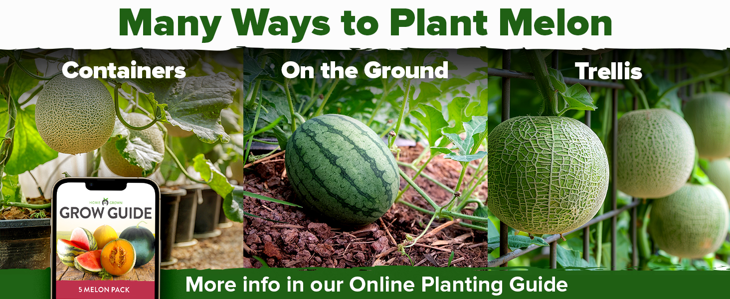 Large manufacture image 6