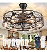 DLLT Caged Ceiling Fan with Lights: 26