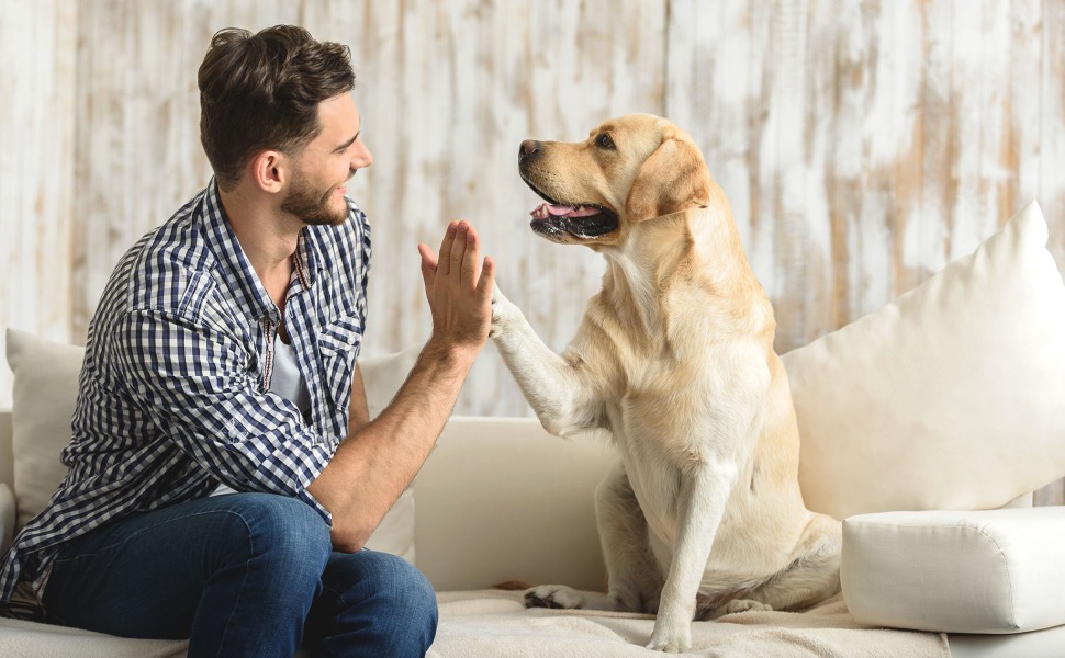 Large manufacture image 3