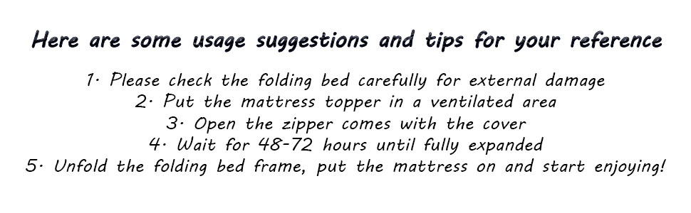 Ferlizer Folding Bed