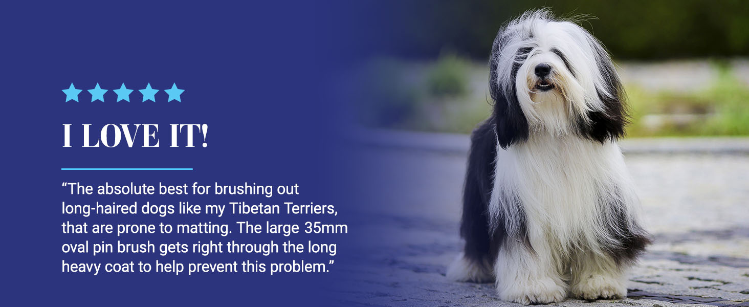 Best brush for Tibetan Terriers. Review of Chris Christensen Original Oval Pin Brush for dogs