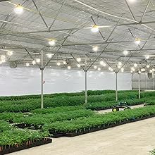 waterproof LED light Construction String Lights work light LED jobSite string light emergency lights