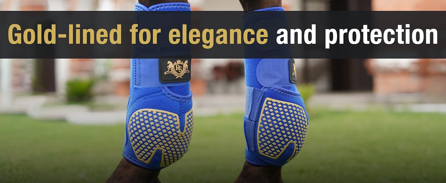 Blue Goldline Horse Boots. Horse tendon boots, Rs premium , 