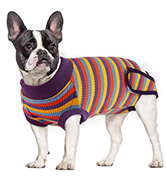 dog recovery suit
