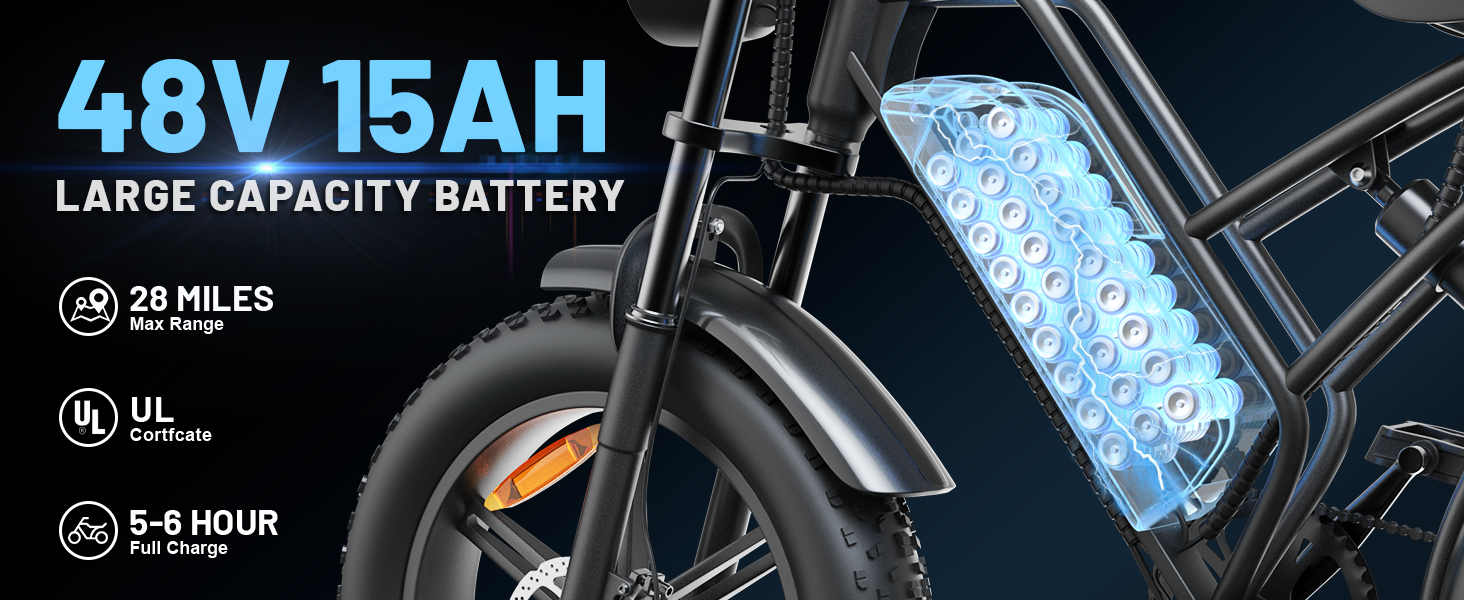 ELECTRIC BICYCLE