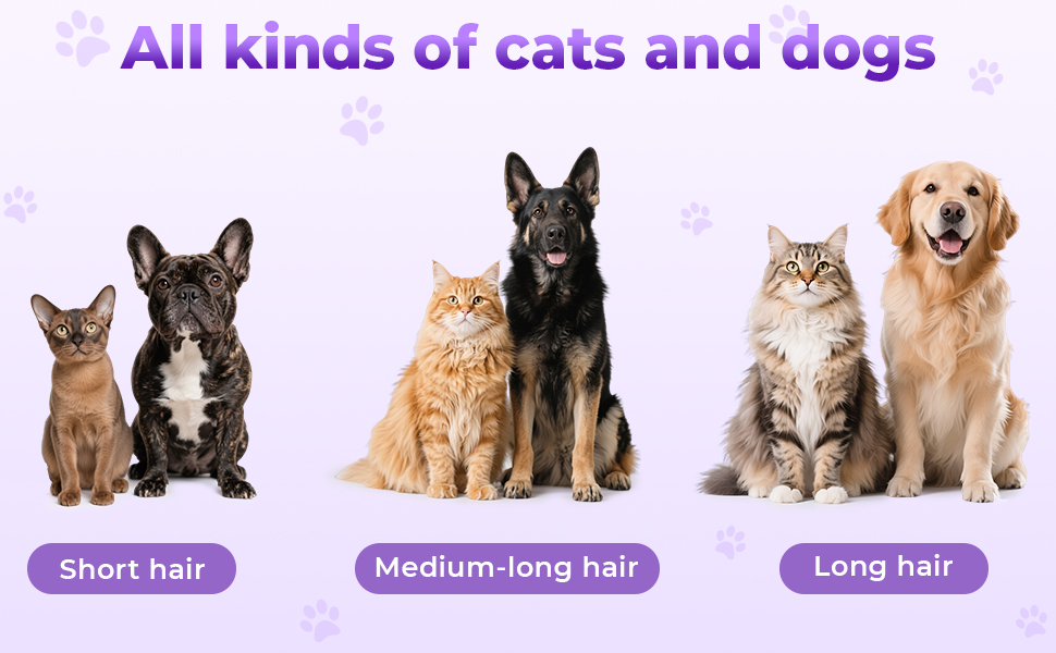 dog brush for shedding