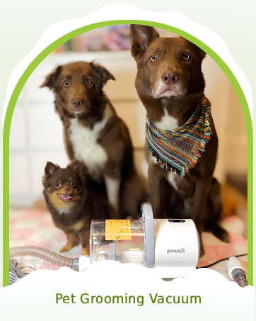 Pet Grooming Vacuum