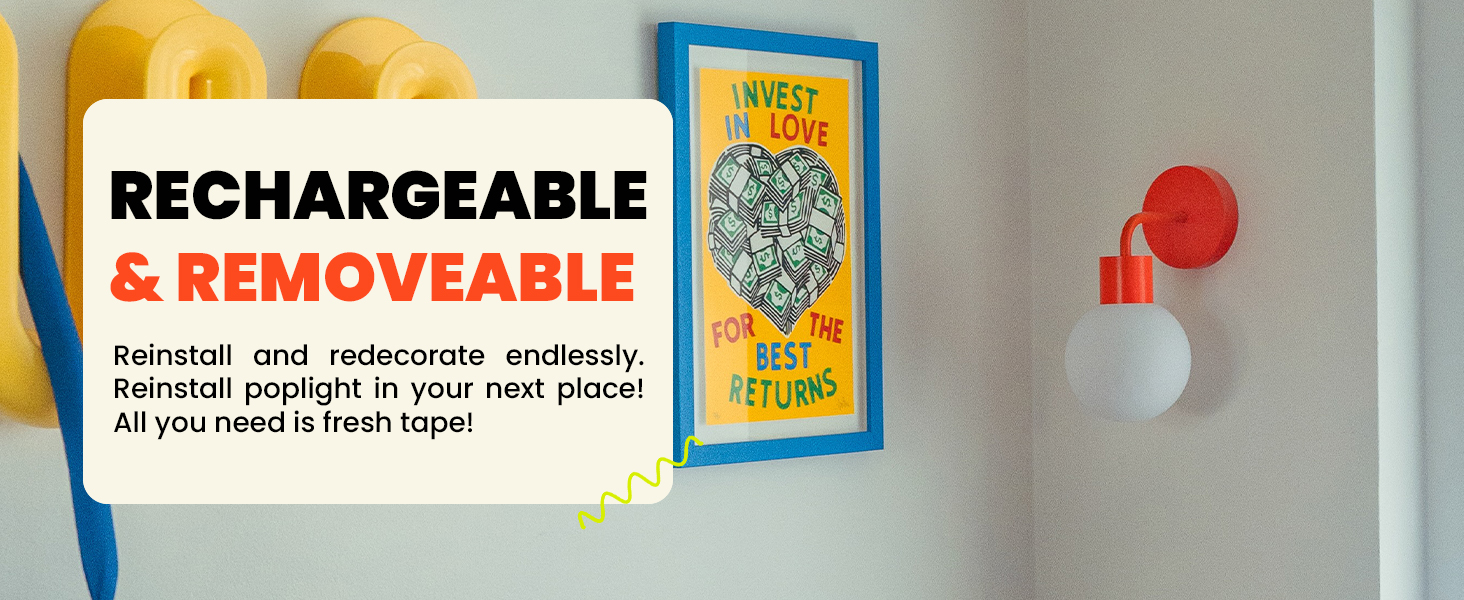 rechargeable and removeable