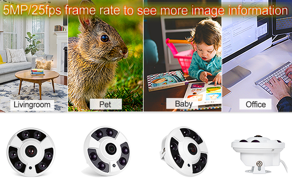 Image details