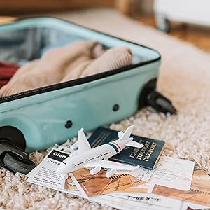 luggage for travel friendly