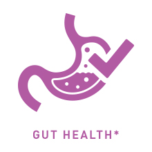 gut health image