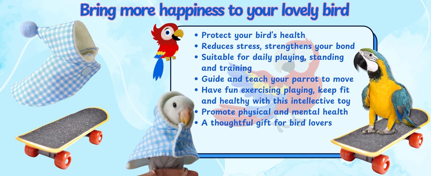 Bird Clothes and Skateboard set