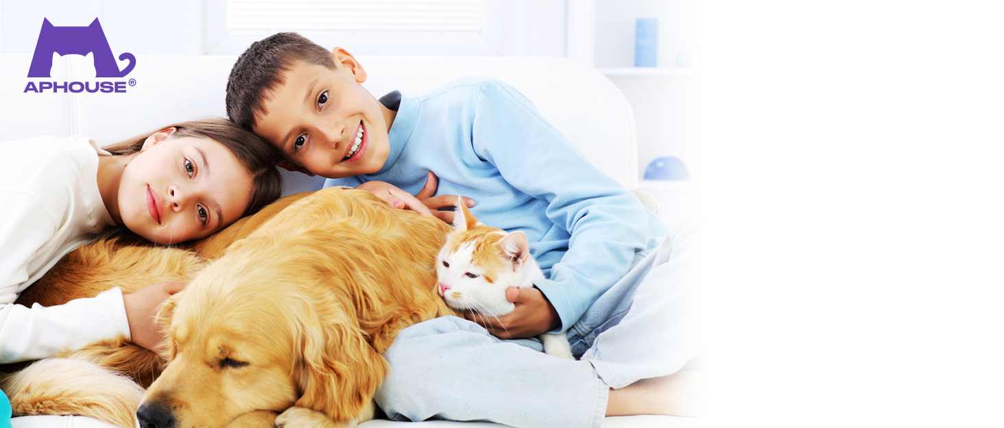 APHOUSE DOG PAW CARE KIT