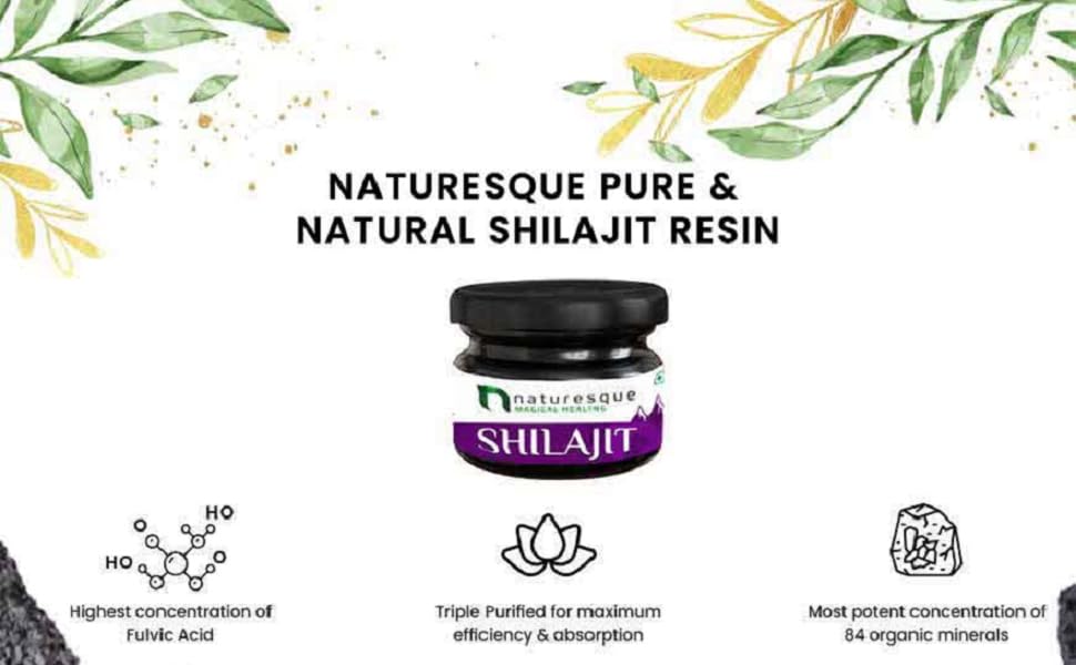 91c15f40-ebf8-4b7e-82c1-faca0b847510.__CR0,34,970,600_PT0_SX970_V1___.jpg (970Ã—600)