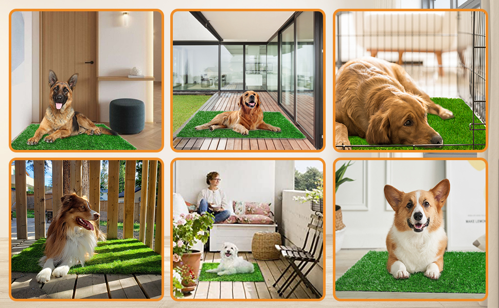 Puppy Potty Pad Grass Mat, Dog Grass Pee Pads, Artificial Turf Pet