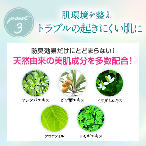 デオシーク 薬用 ボディソープ 300ml 24本セット Amazon | デオシーク 薬用 ボディソープ 有効成分配合 300ml