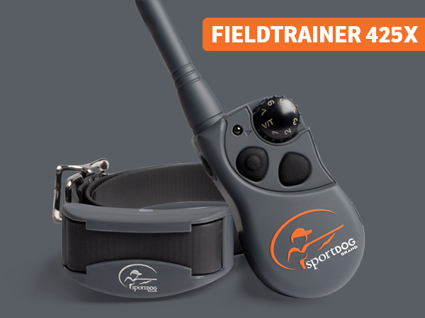 Gray SportDOG SportHunter with Dog Collar and Remote