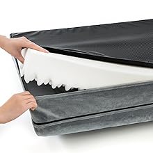 dog bed