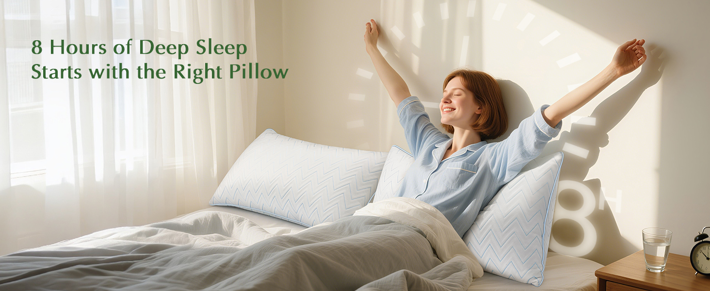 queen pillows set of 2