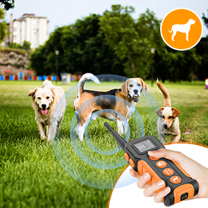 dog bark collar