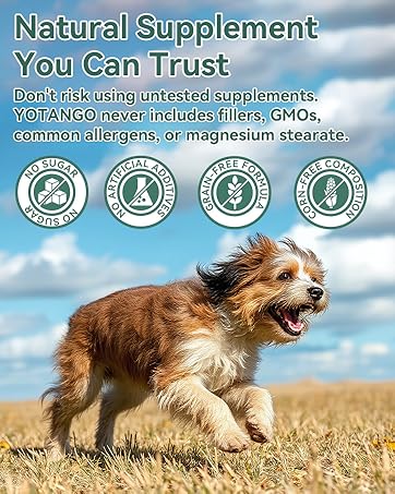 chewables for dogs