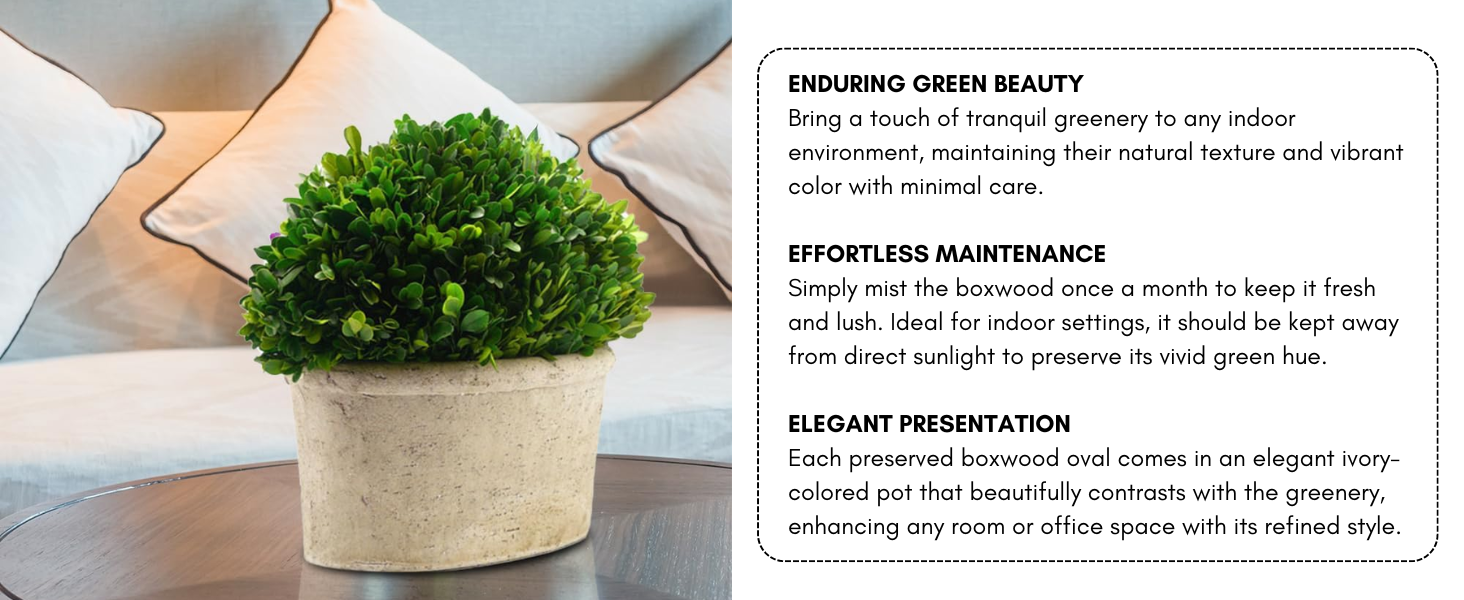 Natural accent decor, table centerpiece, feeling of serenity