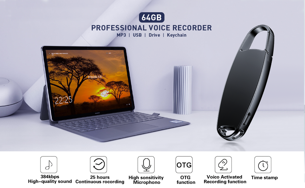 voice activated recorder mini long battery life