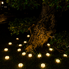 Solar Ground Lights
