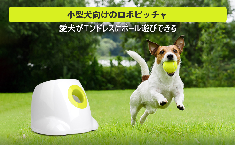 Amazon | All For Paws 犬 ボールランチャー おもちゃ 自動