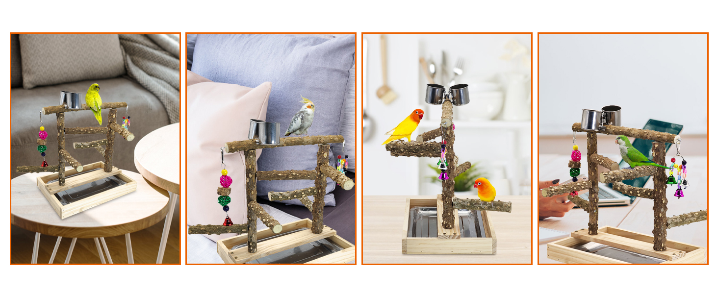 bird playground near you to enjoy your pet's company,perfect for play, training and bonding