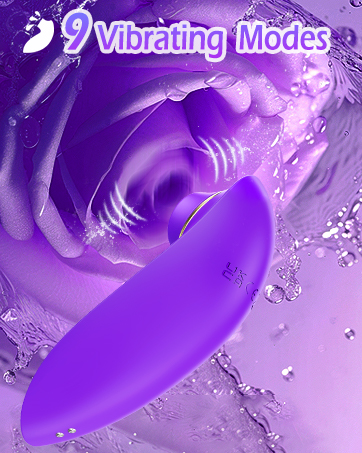 vibrator