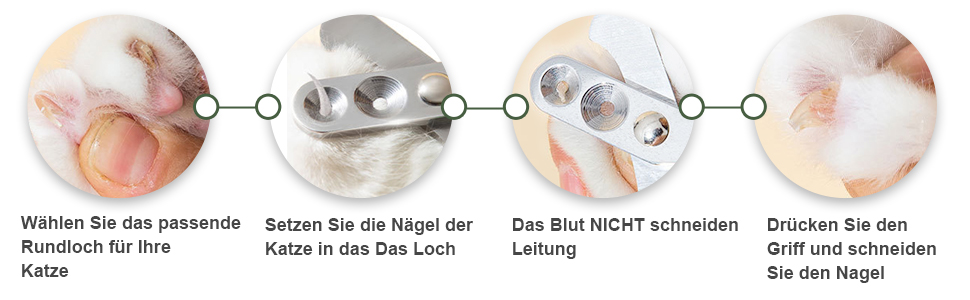 Kätzchen-Nagelknipser