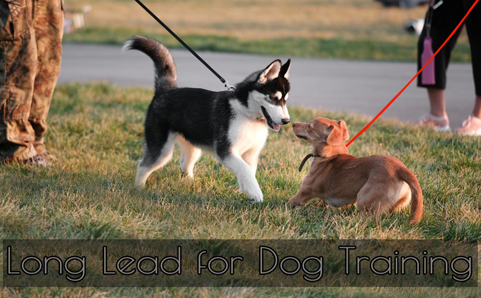 Mainiusi Long Dog Lead Super Long 30m Training Leash for Obedience and Tracking (Black