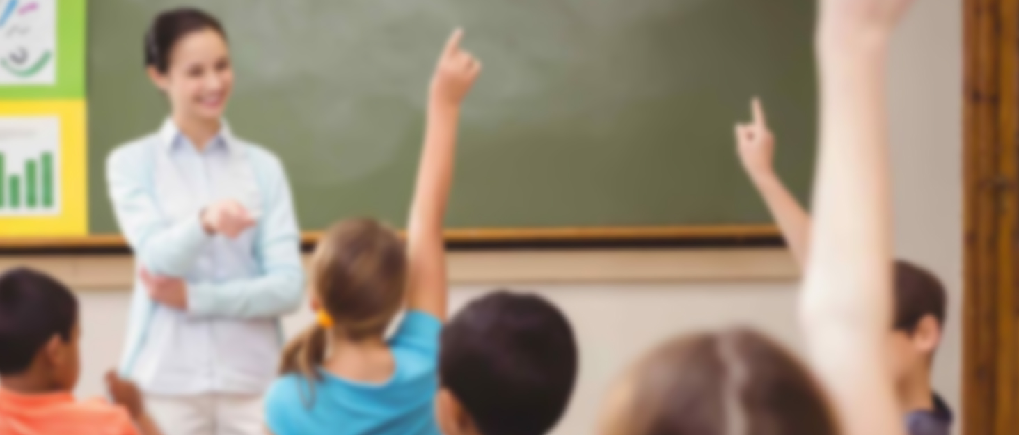 teacher bag