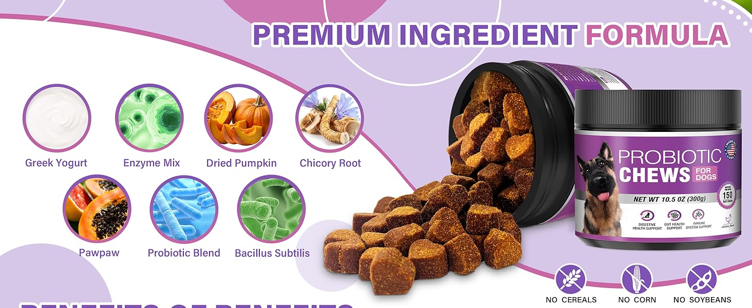 Probiotics for Dogs