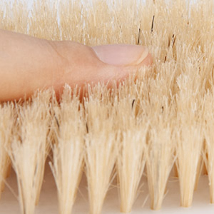 duschbürste rücken