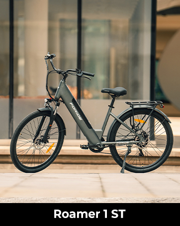 Der Text lautet: „Roamer 1 ST“. Elektrisches Citybike in grauer Farbe mit Heckträger, Scheibenbremsen und komfortabler aufrechter Fahrposition, fotografiert vor Glasfenstern.