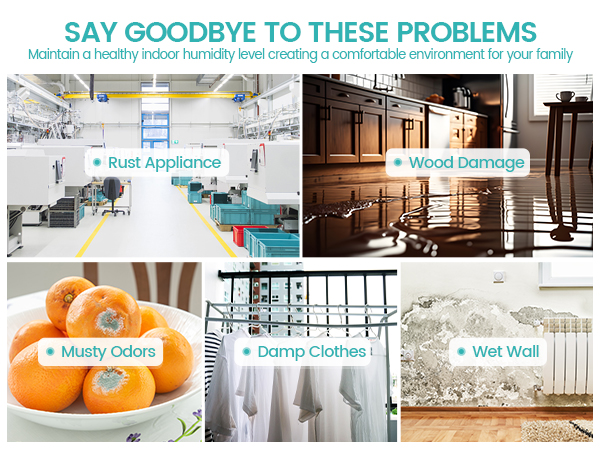 dehumidifiers for home