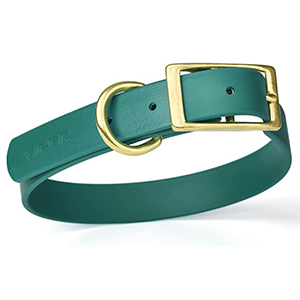 dog collar 