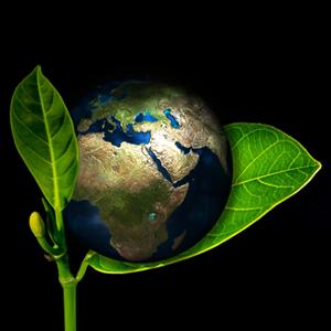 Small manufacture image 5