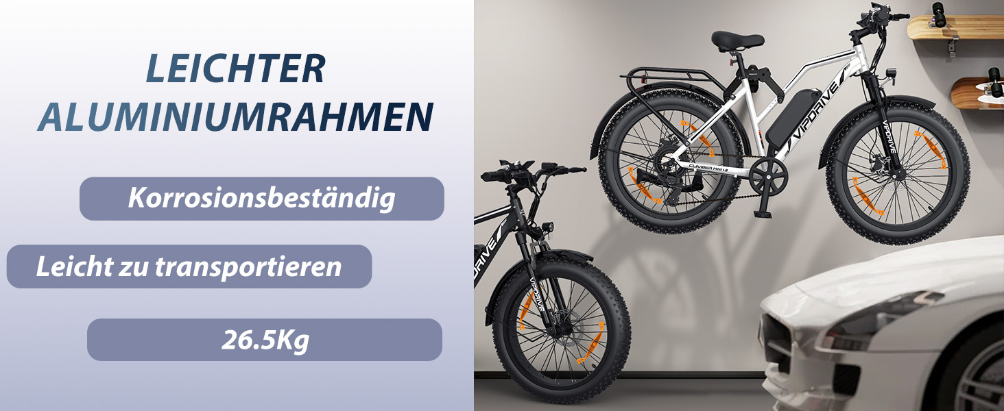 e fahrrad damen