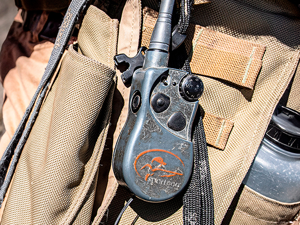 Remote on hunting pack