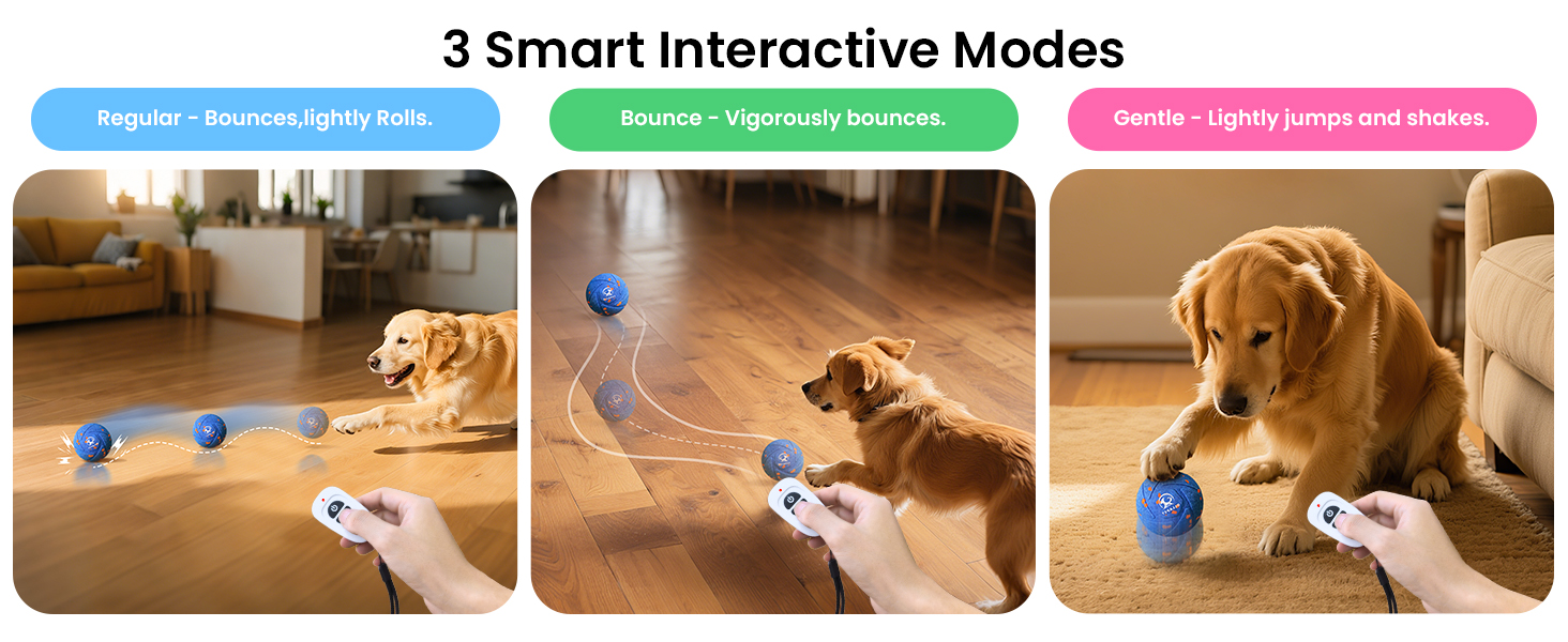 Interactive Dog Toy Ball