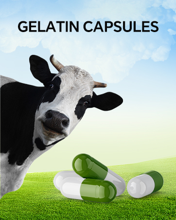 Empty Capsules 100 Count Empty Vegan Capsules