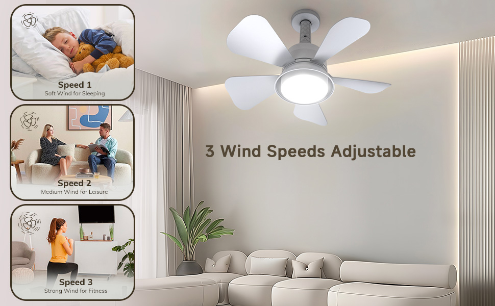 ceiling fan