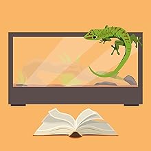bearded Dragon vivarium with book