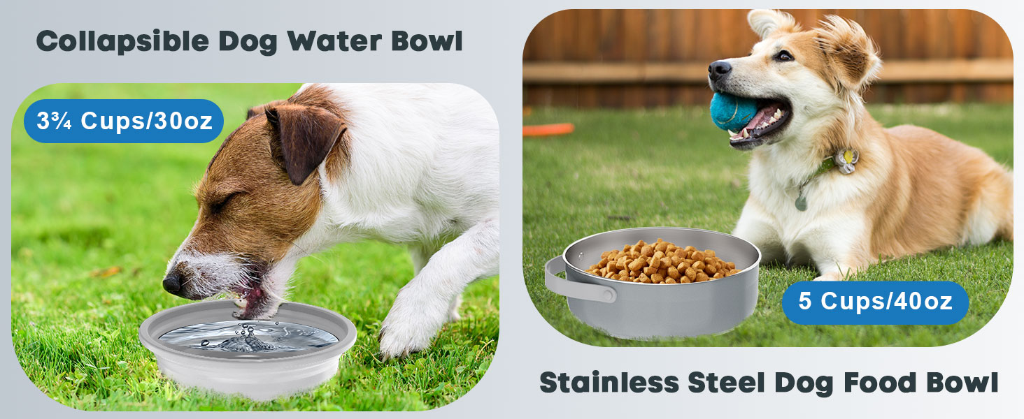 travel dog food and water bowl set dog travel accessories collapsible dog bowls