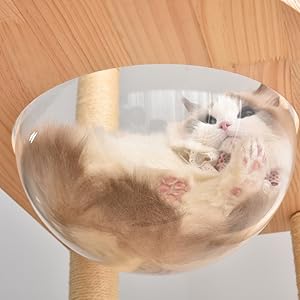 OSJ キャットタワー パイプ ペット用品 頑丈 据え置き マット付き Amazon | OSJ キャットタワー ネコタワー パイプ ペット用品