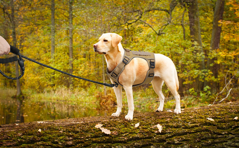 Plutus Pet Tactical Dog Harness, All Metal Buckles, No Pull Service Dog